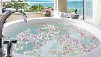 Hotel El Dorado Seaside Palms Adults Only